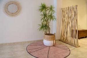 Fotografie z fotogalerie ubytování Hostal Beni v destinaci Benicàssim