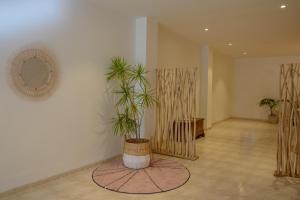 Fotografie z fotogalerie ubytování Hostal Beni v destinaci Benicàssim