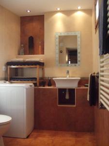 uma casa de banho com um lavatório, um WC e um espelho. em Casa Fuente el vache em Campomanes