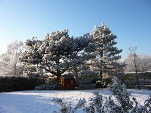 a snow covered tree with a red shed under it at Villa avec vue in Biviers