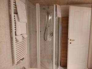 uma casa de banho com um chuveiro e uma porta de vidro em Soliman em Bressanone