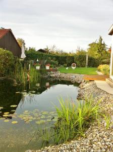 a pond in the backyard of a house at Ferienwohnung Blau in Schweigen-Rechtenbach