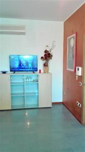 Телевизор и/или развлекательный центр в Appartamento Piazza dei Popoli