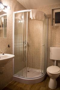 a bathroom with a shower and a toilet and a sink at Pensiunea Gerendás Vendégház in Vlăhiţa +27 photos