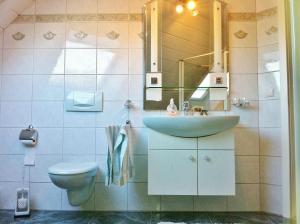 La salle de bains est pourvue d'un lavabo, de toilettes et d'un miroir. dans l'établissement Ferienwohnung Grün, à Schweigen-Rechtenbach