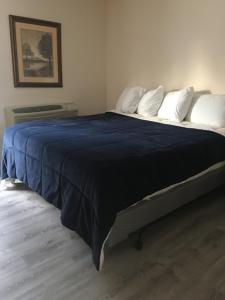 Tempat tidur dalam kamar di All Suites Inn Budget Host