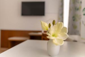 Telewizja i/lub zestaw kina domowego w obiekcie Hotel Anker