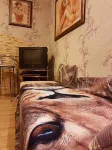 a bedroom with a bed and a tv in it at House Hotel Apartments 3 in Rivne