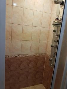 a bathroom with a shower with brown tile at House Hotel Apartments 3 in Rivne