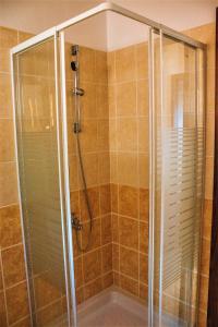 La salle de bains est pourvue d'une douche et d'une cabine de verre. dans l'établissement Syvota Sunset Apartments, à Perdika