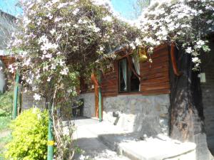 a house with a tree in front of it at Cabañas del Faldeo Titos in El Bolsón