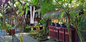 a garden with a house with a bunch of plants at Namuwoki Lodge in Puerto Viejo