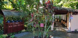 a garden with a bunch of plants next to a building at Namuwoki Lodge in Puerto Viejo
