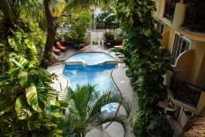 uma vista superior de uma piscina num jardim em Hotel Riviera Del Sol em Playa del Carmen