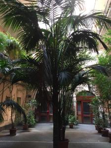 Ogród w obiekcie Klee House Trastevere