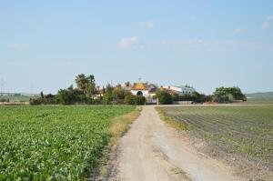 Fotografia z galérie ubytovania Cortijo Las Manoteras v destinácii El Puerto de Santa María