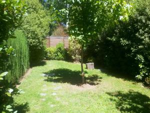 Ein Garten an der Unterkunft Cocurantu Hotel Boutique