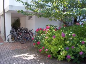 a group of bikes parked next to a building with flowers at Hotel Meublè Villa Patrizia in Grado