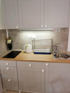 Kuchyň nebo kuchyňský kout v ubytování Apartman Unka + 34 fotografií