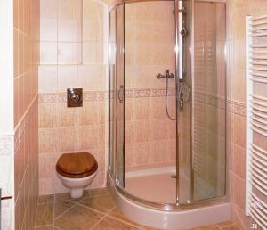 W łazience znajduje się toaleta i przeszklony prysznic. w obiekcie Resort Maják w mieście Horní Soběšovice