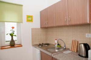 Kuchyňa alebo kuchynka v ubytovaní Deluxe Apartments