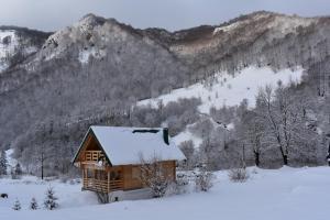 Mountain Lodge Mont Peace v zimě