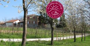 Vonkajšia záhrada v ubytovaní B&BLa collina dei ciliegi