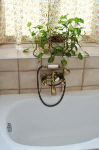 a bath tub with a faucet with a plant on it at Restaurace a penzion Ubrousku prostři se in Nová Bystřice