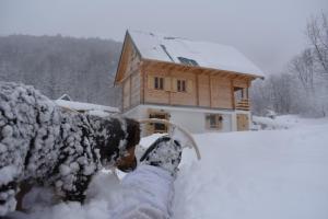 Mountain Lodge Mont Peace v zimě
