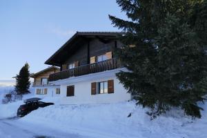 Chalet Bergmann during the winter