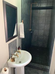 W łazience znajduje się umywalka i prysznic. w obiekcie Country Lodge w mieście Upington