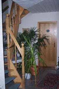 - un escalier en bois avec une plante en pot dans l'établissement Ferienwohnung Neubert, à Wolkenstein