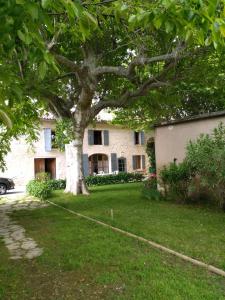 a large tree in the yard of a house at Rêve d’Emma in Plan-dʼOrgon +22 photos
