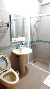 a bathroom with a toilet and a sink and a shower at 里山旅棧民宿 Li Shan Homestay in Fuli