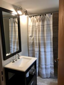 a bathroom with a sink and a shower curtain at La Franca Cabaña de Veraneo in Villa General Belgrano