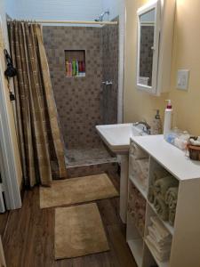 uma casa de banho com um lavatório e um chuveiro com uma cortina de chuveiro em Alla's Historical Bed and Breakfast, Spa and Cabana em Dallas