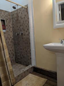 a bathroom with a shower and a sink at Alla's Historical Bed and Breakfast, Spa and Cabana in Dallas