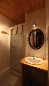 a bathroom with a sink and a shower and a mirror at La Roche Meane in Villar-dʼArène