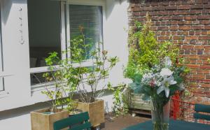 um vaso de flores sentado numa mesa ao lado de uma janela em chambre d'hôte M et Mme Collet em Lille