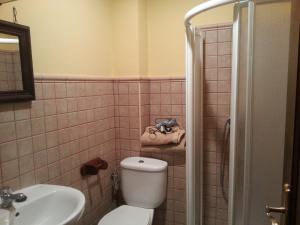 a bathroom with a toilet and a sink at Apartamentos Rurales Buenamadre in Pola de Somiedo +48 photos