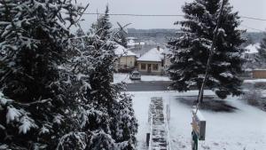 eine schneebedeckte Straße mit zwei Bäumen und einem Haus in der Unterkunft Alabástrom Panzió és Étterem in Bogács