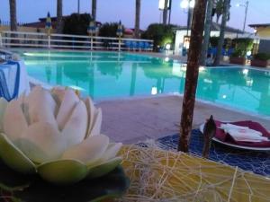 a bird sitting on a table next to a swimming pool at Case Vacanze Ancora in Porto Empedocle
