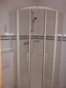 a shower with glass doors in a bathroom at Hotel & Restaurant Na Fryštátské in Karviná +38 photos