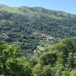 Blick auf ein Tal mit Bäumen und Häusern in der Unterkunft Casa do eirô in Resende