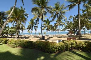 uma vista para uma praia com palmeiras e para o oceano em Cabarete Palm Beach Condos em Cabarete