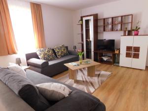 a living room with a couch and a table at Apartment Petrovic in Slunj