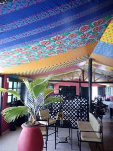 a potted plant in a room with a table and chairs at Eco-Lodge Hotel Oasis Fishing in Saint-Louis