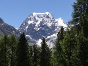 Příroda nedaleko apartmánu