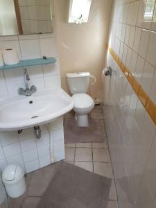 uma casa de banho com um WC e um lavatório em Iglo Bungalow 18 em Chaam