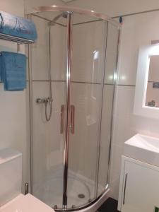 a shower with a glass door in a bathroom at Casa Picadeiro in Figueira da Foz +34 photos